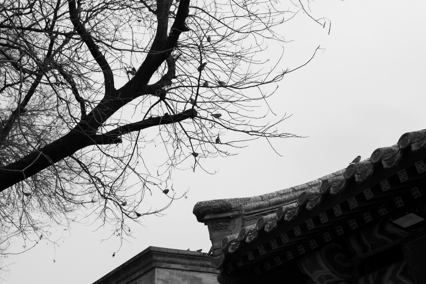 Roofline